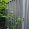 20′ Used Steel Shipping Container Storage Container